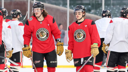 选材体系的 选材体系的