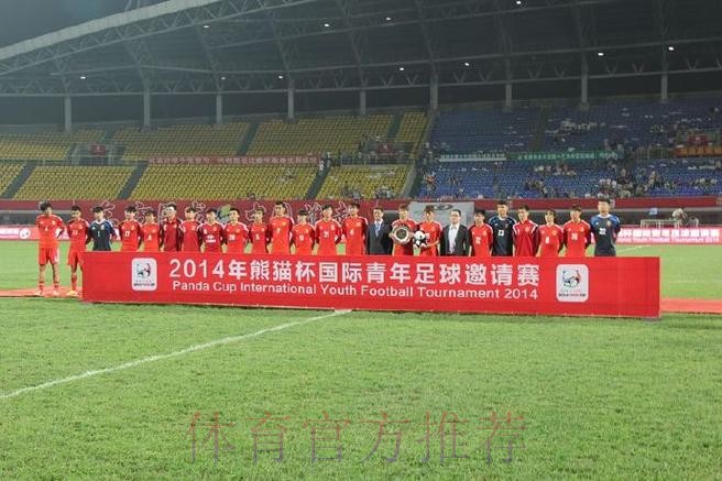 2014“熊猫杯”国际青少年足球发展研讨会举办